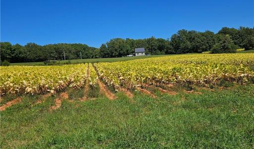 Photo #14 of Old Mill, Pinnacle, NC 29.3 acres