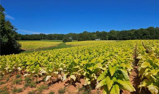 Photo #18 of Old Mill, Pinnacle, NC 29.3 acres