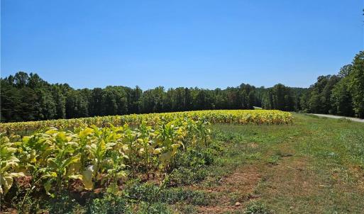 Photo #4 of Old Mill, Pinnacle, NC 29.3 acres