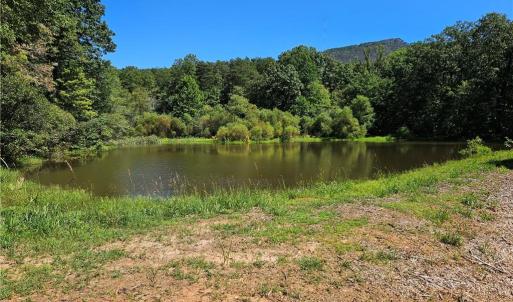 Photo #25 of Old Mill, Pinnacle, NC 29.3 acres