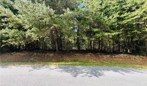 Photo #3 of 175 Lakewood, New London, NC 0.8 acres