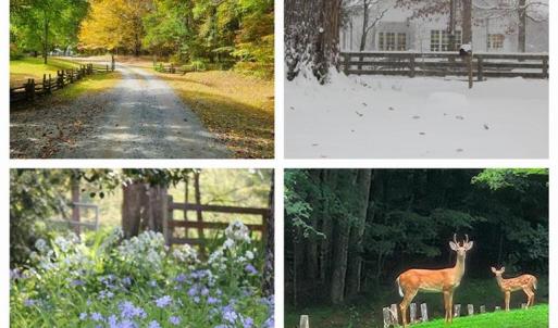 Photo #10 of 469 Justamere Farm, Greensboro, NC 21.1 acres