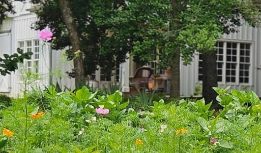 Photo #16 of 469 Justamere Farm, Greensboro, NC 21.1 acres