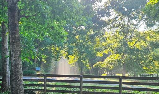 Photo #13 of 469 Justamere Farm, Greensboro, NC 21.1 acres