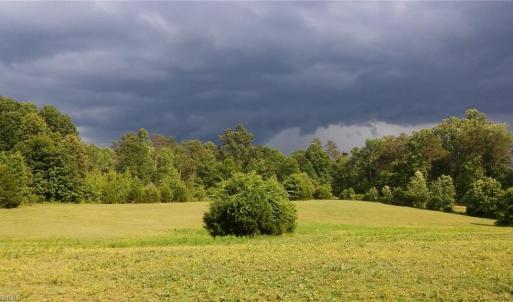 Photo #11 of 469 Justamere Farm, Greensboro, NC 21.1 acres