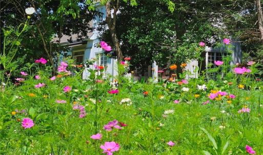 Photo #4 of 469 Justamere Farm, Greensboro, NC 21.1 acres