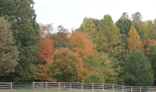 Photo #15 of 469 Justamere Farm, Greensboro, NC 21.1 acres