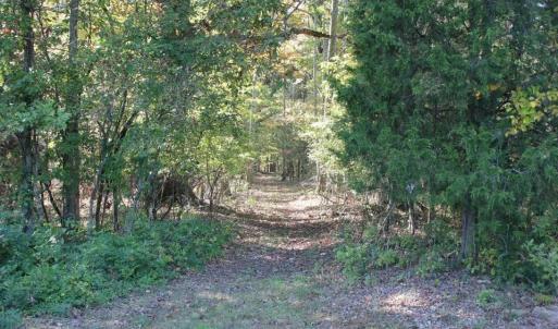 Photo #11 of 469 Justamere Farm, Greensboro, NC 21.1 acres