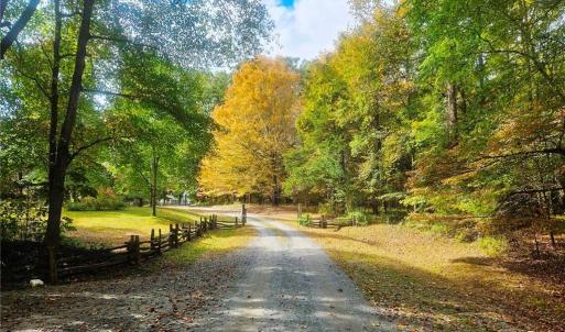 Photo #7 of 469 Justamere Farm, Greensboro, NC 21.1 acres