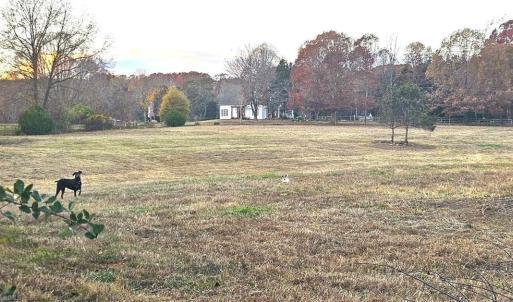 Photo #8 of 469 Justamere Farm, Greensboro, NC 21.1 acres
