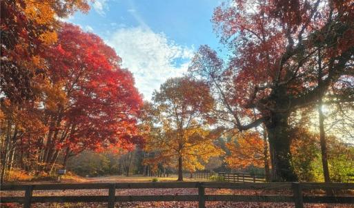 Photo #25 of 469 Justamere Farm, Greensboro, NC 21.1 acres