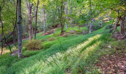 Photo #23 of Cox Store, Floyd, VA 24.1 acres