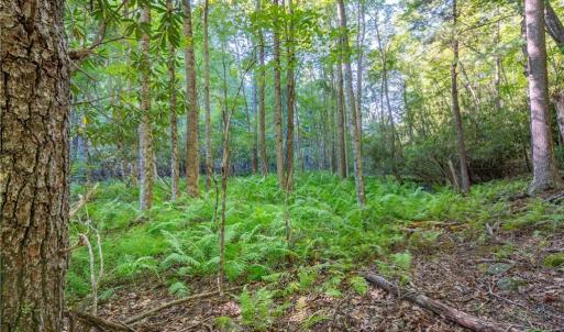 Photo #27 of Cox Store, Floyd, VA 24.1 acres
