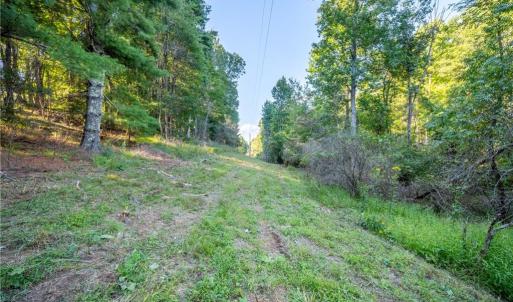 Photo #6 of Cox Store, Floyd, VA 24.1 acres