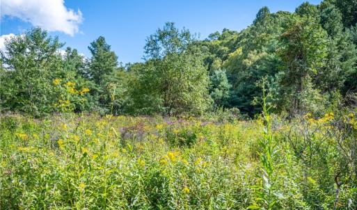 Photo #17 of Cox Store, Floyd, VA 24.1 acres