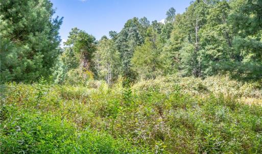 Photo #16 of Cox Store, Floyd, VA 24.1 acres