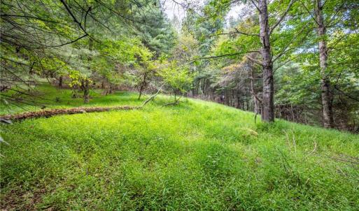 Photo #12 of Cox Store, Floyd, VA 24.1 acres