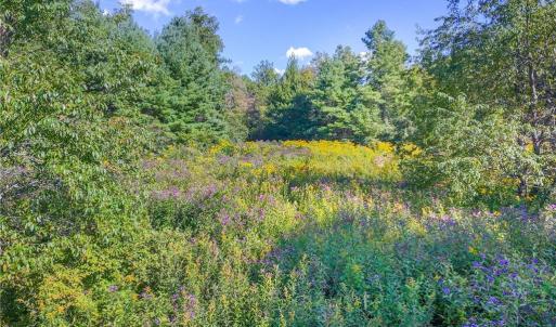 Photo #26 of Cox Store, Floyd, VA 24.1 acres
