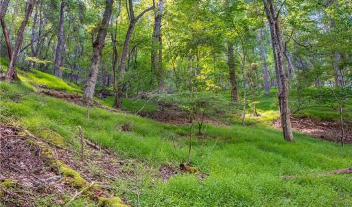 Photo #22 of Cox Store, Floyd, VA 24.1 acres