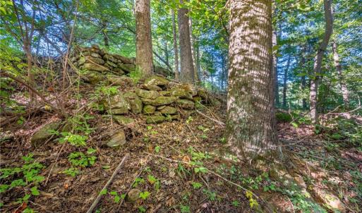 Photo #36 of Cox Store, Floyd, VA 24.1 acres