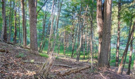 Photo #32 of Cox Store, Floyd, VA 24.1 acres
