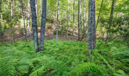 Photo #28 of Cox Store, Floyd, VA 24.1 acres