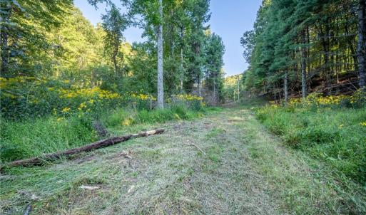 Photo #5 of Cox Store, Floyd, VA 24.1 acres