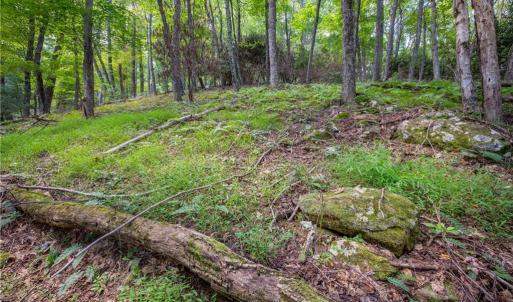 Photo #20 of Cox Store, Floyd, VA 24.1 acres