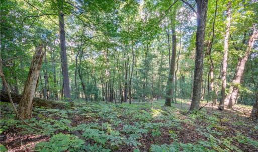 Photo #24 of Cox Store, Floyd, VA 24.1 acres