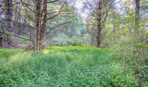 Photo #30 of Cox Store, Floyd, VA 24.1 acres