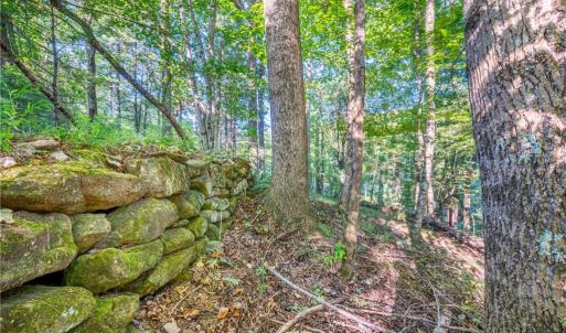 Photo #34 of Cox Store, Floyd, VA 24.1 acres