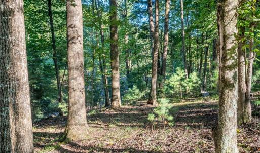 Photo #33 of Cox Store, Floyd, VA 24.1 acres