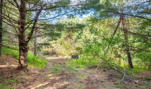 Photo #14 of Cox Store, Floyd, VA 24.1 acres