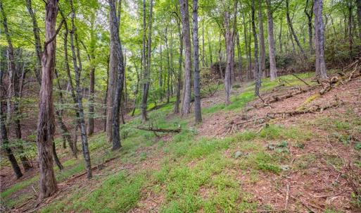 Photo #18 of Cox Store, Floyd, VA 24.1 acres