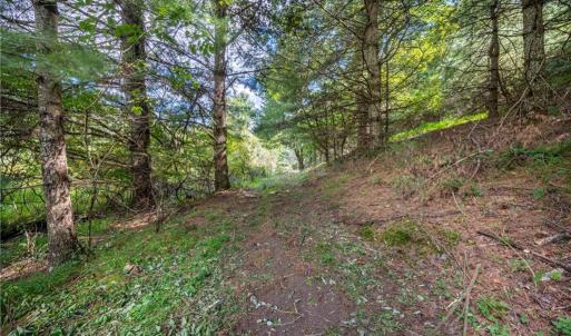 Photo #11 of Cox Store, Floyd, VA 24.1 acres