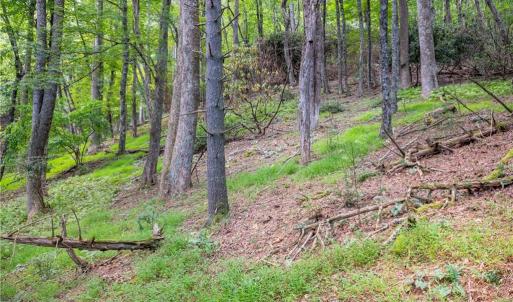 Photo #19 of Cox Store, Floyd, VA 24.1 acres