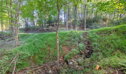 Photo #35 of Cox Store, Floyd, VA 24.1 acres
