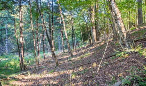 Photo #31 of Cox Store, Floyd, VA 24.1 acres