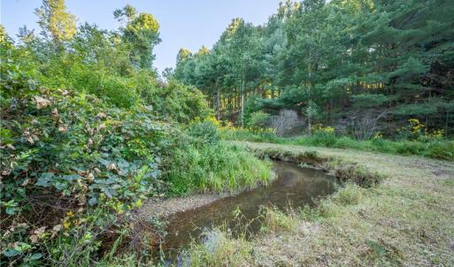 Photo #29 of Cox Store, Floyd, VA 24.1 acres