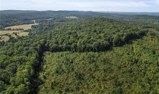 Photo #17 of 2272 Doul Mountain, Asheboro, NC 79.4 acres