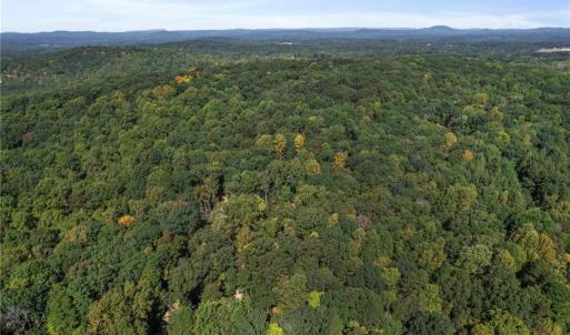Photo #3 of 2272 Doul Mountain, Asheboro, NC 79.4 acres