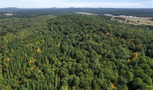 Photo #24 of 2272 Doul Mountain, Asheboro, NC 79.4 acres