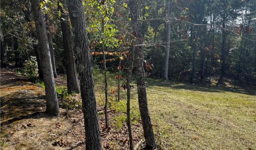 Photo #4 of 803 Birch Bark, Greensboro, NC 1.8 acres