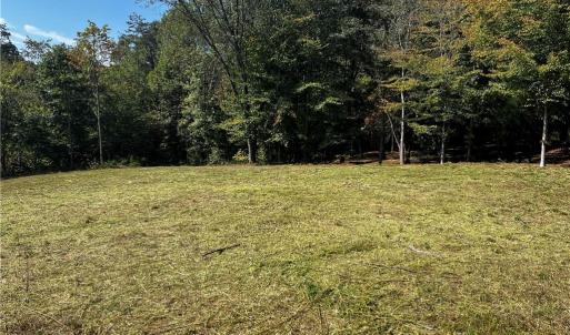 Photo #3 of 803 Birch Bark, Greensboro, NC 1.8 acres