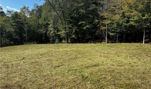 Photo #3 of 803 Birch Bark, Greensboro, NC 1.8 acres
