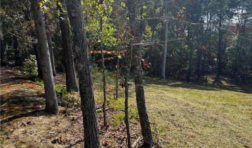 Photo #4 of 803 Birch Bark, Greensboro, NC 1.8 acres