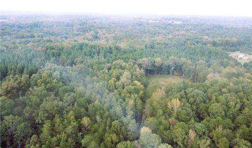 Photo #6 of Thayer, Trinity, NC 22.1 acres