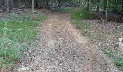 Photo #7 of Thayer, Trinity, NC 22.1 acres