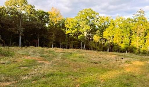 Photo #3 of Thayer, Trinity, NC 22.1 acres