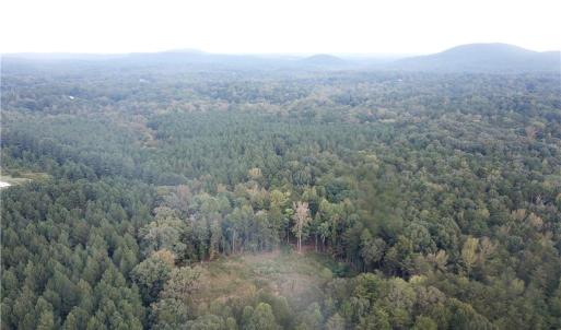 Photo #5 of Thayer, Trinity, NC 22.1 acres